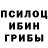 Галлюциногенные грибы Psilocybe Dilmuratt Djolcxuevw