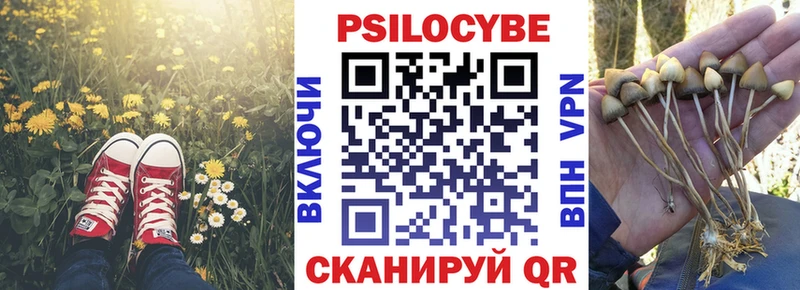 Купить закладки  Кызыл  Псилоцибиновые грибы мицелий 